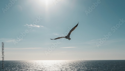 Seaside bird in flight against the sky, illustrating avian movement and open space