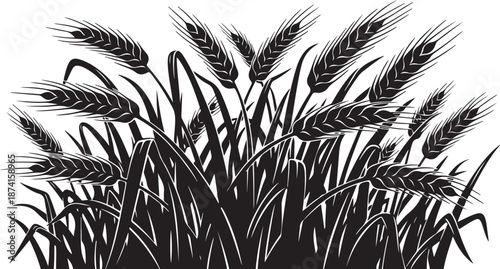 Black and white illustration of wheat grass and plants