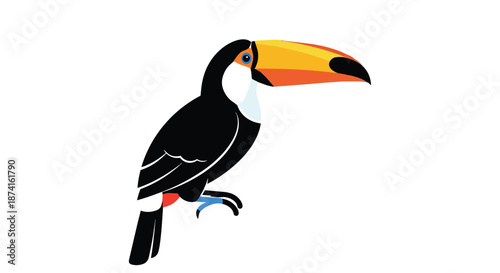 Striking tropical toucan illustration with vibrant beak and minimalist design, capturing exotic bird beauty