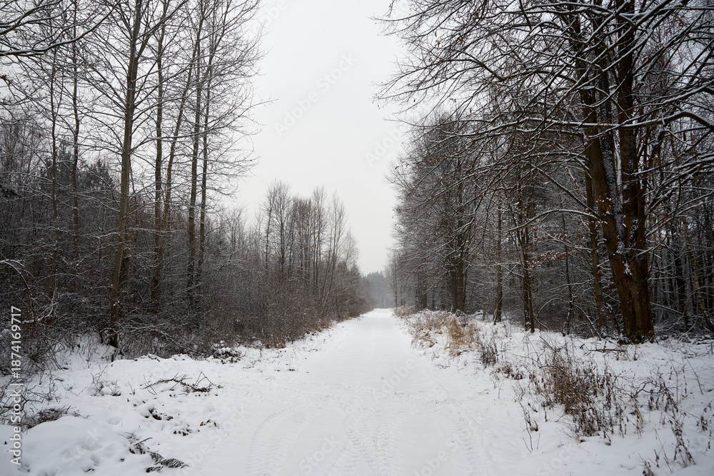 Fototapeta premium droga ,zima 