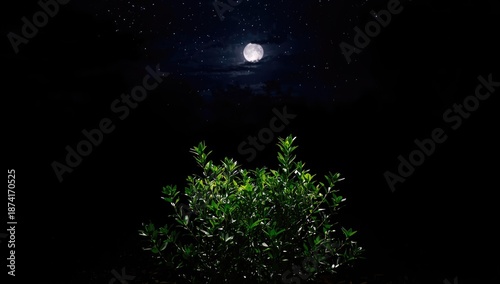 Tiny green seedlings in the night, illustrating resilience in minimal light, Earth Day