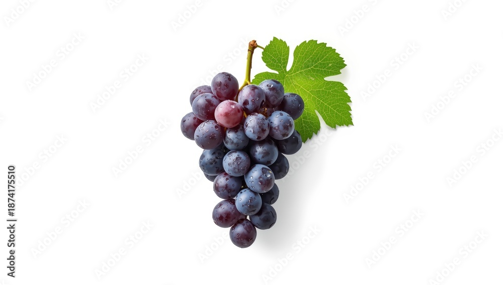 Fototapeta premium Black grape and grape leaf on white background as fresh fruit and foliage, suitable for botanical displays