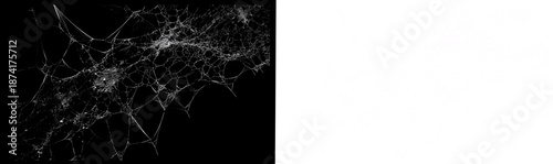 фотографія Wide-angle view of a complex, interconnected spider web system rendered in black