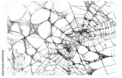 A complex and messy spider web pattern with an organic, realistic feel. Abstract entangled silk threads creating a dense and intricate texture for creative backgrounds.