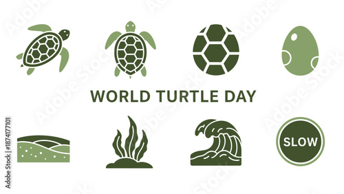 Graphic icons and text for World Turtle Day featuring turtles eggs habitats and a SLOW sign