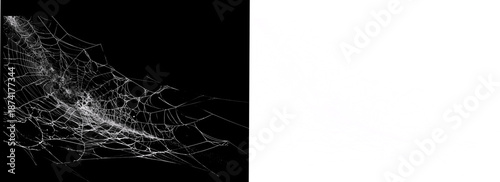 A torn and wind-blown spider web illustration with delicate fibers, perfect for spooky overlays and backgrounds.