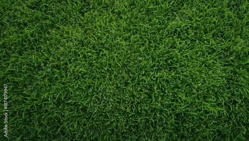 Wallpaper Mural Green lawn pattern and texture background suitable for garden or park layouts Torontodigital.ca
