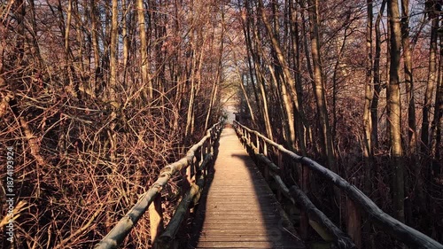 Wooden walkway through a winter forest at sunrise, surrounded by bare trees and warm early morning light, peaceful nature path.