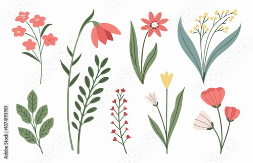 Botanical Illustrations: Delicate Floral Arrangements and Leaves on White