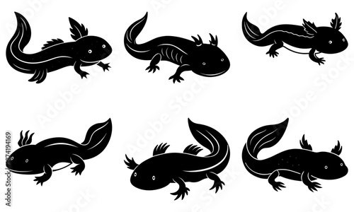 Five Black Axolotl Silhouettes on White Background amphibian