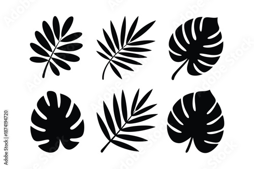 Collection of tropical leaf silhouettes monstera and palm