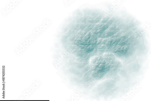 Abstract Light Blue Crumpled Plastic Texture Design Element with Circular Shape on White Background