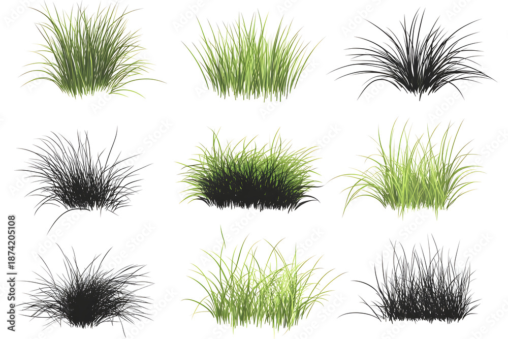Obraz premium Vibrant Grass Assortment: A captivating array of diverse grass tufts, showcasing a variety of textures, hues, and forms, illustrating the rich diversity of natural grasslands.