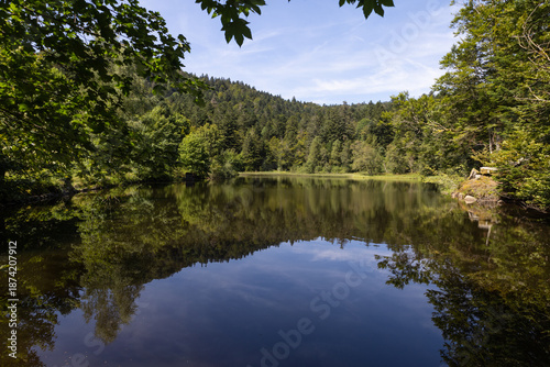 Obraz na płótnie L'étang du Petit-Haut est un petit lac situé dans les contreforts du Ballon d'Alsace, dans le massif des Vosges, dans le département du Territoire de Belfort