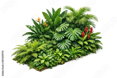 isolated angle on a lush tr...