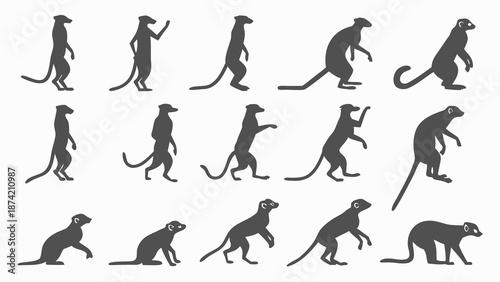 Dynamic Meerkat Silhouettes Capture Characteristic Behaviors Standing Walking Jumping and Observing Nature
