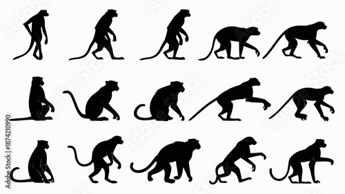 Vector Illustrations Black Monkey Silhouettes Showing Various Actions Poses and Movements