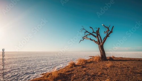 Salt flat surface with a lo...