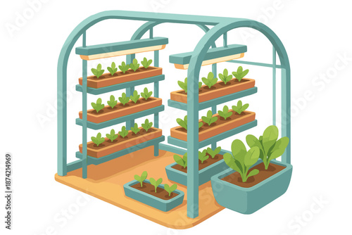 Greenhouse structure with multiple plant shelves for growing vegetables in indoor space during day