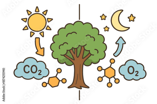 Tree showing the process of photosynthesis with sun, moon, clouds, and chemical symbols in a simple illustration