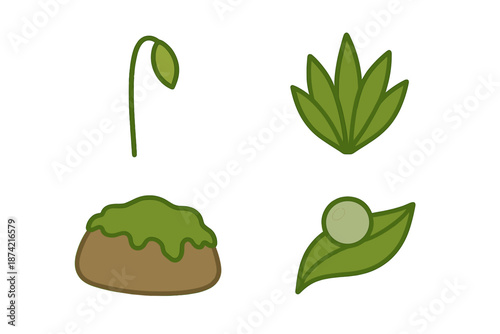 Green plant elements showing a sprout, a succulent, a mound of soil, and a leaf with a droplet in a simple style