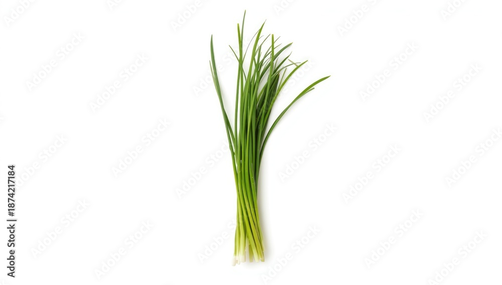 Fototapeta premium Green garlic chives leaf isolated on white background, emphasizing fresh herbs for cooking, food, natural
