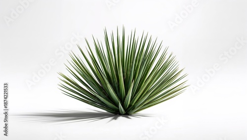 Agave with stacked green fl...