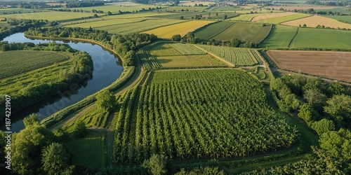 Aerial view of vegetable ga...
