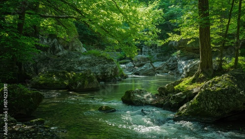 Forest setting with rocks and water, ideal for nature-themed UI backgrounds, spring landscape