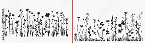 wildflower illustration set, meadow flower drawing, botanical field artwork, hand drawn floral sketch, spring flower design, countryside plant illustration, nature flower clipart, printable wildflower