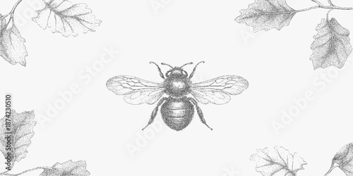 Hand-drawn bee and oak leaves with stipple shading, grainy outline, inked textures, vintage detailing and soft specks on an aged botanical surface.
