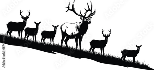 Black silhouette collection of wild deer herd, majestic elk with antlers, forest animals in meadow, and nature wildlife icons isolated.