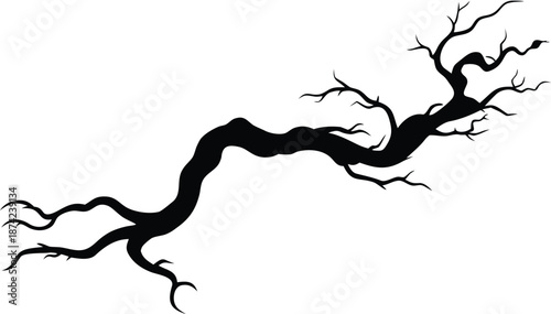 Dry Twisted Wild Vine silhouette vector illustration
