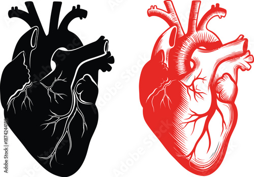 Adobe Illustrator Artwork