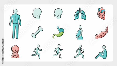 Collection of Human Anatomy Icons and Illustrations.