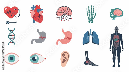 Collection of Human Anatomy Icons and Illustrations.