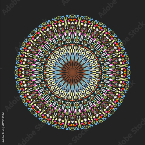 Geometrical colorful round abstract petal pattern mandala