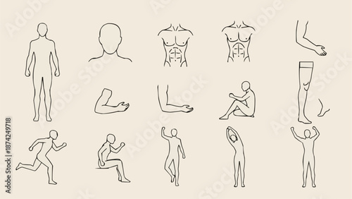 Collection of human body anatomy line art illustrations.