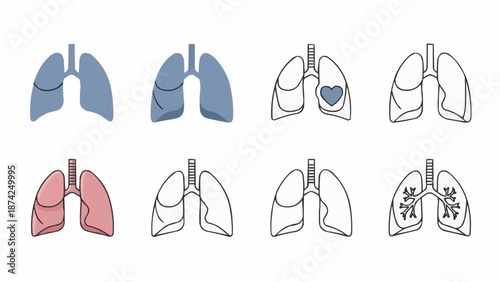 Collection of Human Lung Illustrations Showing Different Conditions.