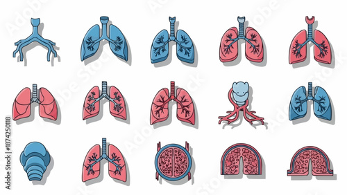 Collection of Human Lungs Anatomy Illustrations.