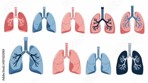 Collection of Human Lungs Anatomy Illustrations in Various Colors.