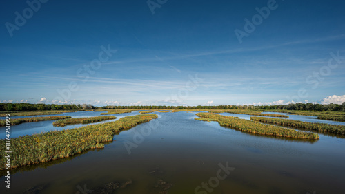 nature sceneries inside the Oasi di Vallevecchia di Brussa, Caorle, Venice, Italy
