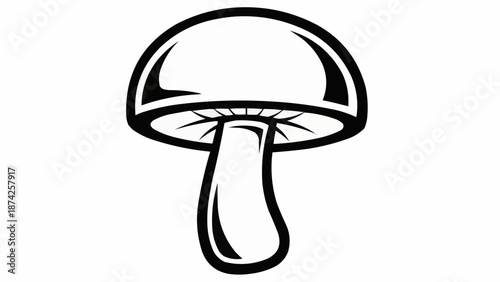 white mushroom on black background