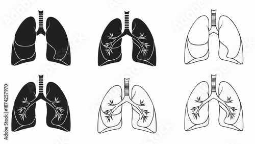Human Lungs Anatomy Illustration Set.