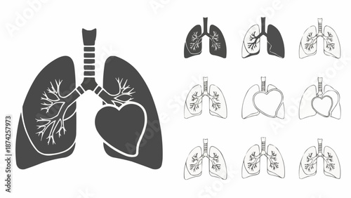 Human Lungs Anatomy Illustration Set.