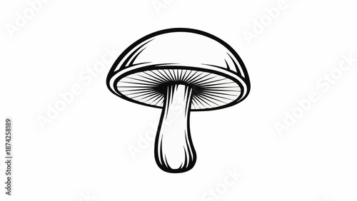 close up of a white mushroom