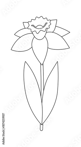 Narcissus isolated on a white background. Outline drawing. Linear icon, vector illustration, coloring page. Early spring flower, Easter theme.