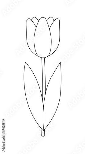 Tulip isolated on a white background. Outline drawing. Linear icon, vector illustration, coloring page. Early spring flower, Easter theme.