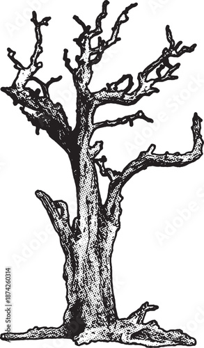 Gnarled Dead Tree, An intricate black and white stippled illustration of a bare, twisted dead tree. The design highlights textured bark patterns and skeletal branches against a stark white background.