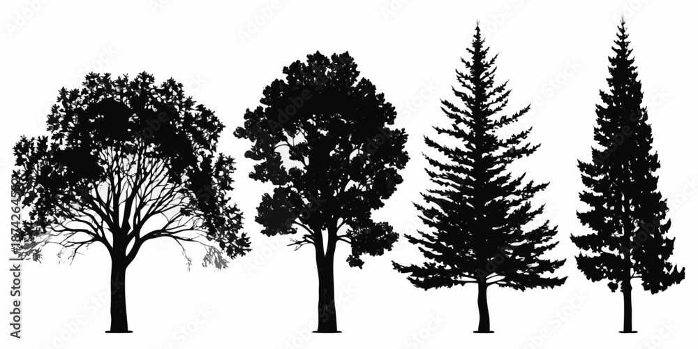 Fototapeta premium Silhouette collection of diverse trees oak pine and fir in black and white